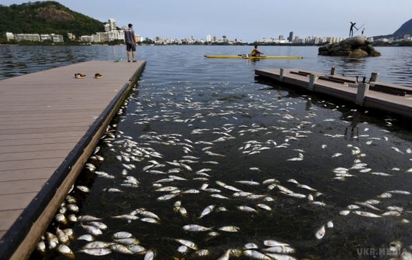 Екологічна катастрофа в Ріо-де-Жанейро. На початку весни 2015 року ЗМІ заговорили про тяжке становище лагуни Родріго-де-Фрейтас в Ріо-де-Жанейро, де в 2016 році пройдуть Літні Олімпійські ігри