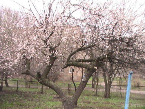 І знову Луганськ.... Обстановка в Луганській області (21.04.15) оновлюється - 18:20