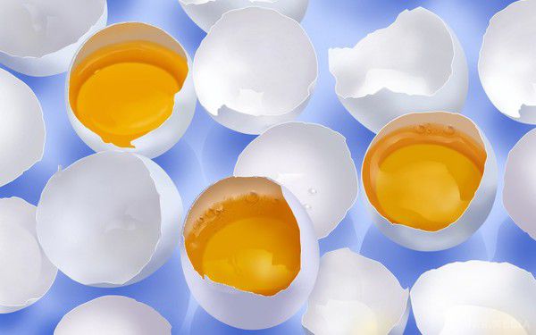 10 причин, чому не варто викидати яєчну шкаралупу. Причини, по яким не потрібно поспішати позбуватися від шкаралупи.