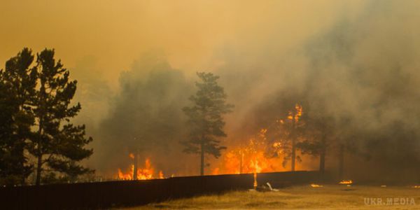 У Забайкаллі горить майже 120 тис гектарів лісу. За даними на 3:00 четверга, в Забайкальському краї зареєстровано 44 вогнища лісових пожеж на загальній площі 118 тис. га.