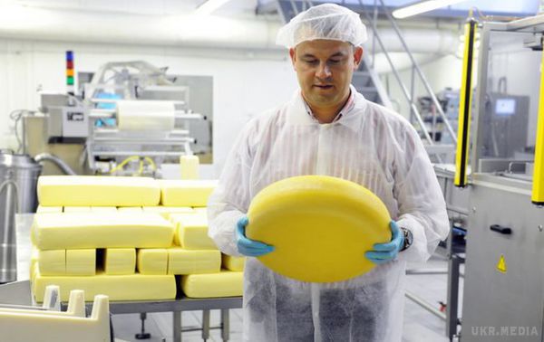 Ринок сирів в Україні скоротився на 30%. Ринок сирів в Україні скоротився в 2014 р. до 88 тисяч тонн або на 30% порівняно з 2013 р., і прогнозується подальше падіння.