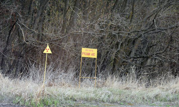 Найбільші споруди чорнобильської "зони": сховища і саркофаг (фото). Напередодні 29-ї річниці катастрофи побували на найсерйозніших об'єктах