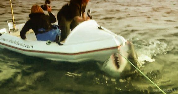Знімальна група вела зйомки документального фільму про акул. Акула напала на човен з вченими