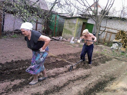 Синдром городника: причини, симптоми та поради фахівців. У полiклiнiки та лiкарнi вже почали звертатися першi пацiєнти з незвичним дiагнозом - синдром городника. Кому i чим вiн загрожує?