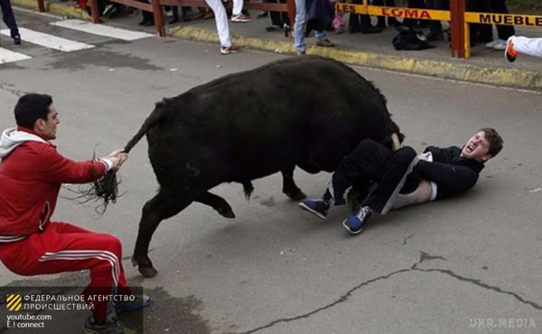В Іспанії втікший бик  забодав 11 осіб. В Іспанії не менше 11 осіб отримали поранення і травми в результаті нападу бика.