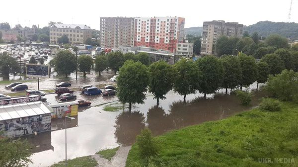 Наслідки буревію у Львові: повалені дерева, байдарки на вулицях і затоплені супермаркети. Злива йшла в місті всього якихось півгодини, але встигла наробити біди. 