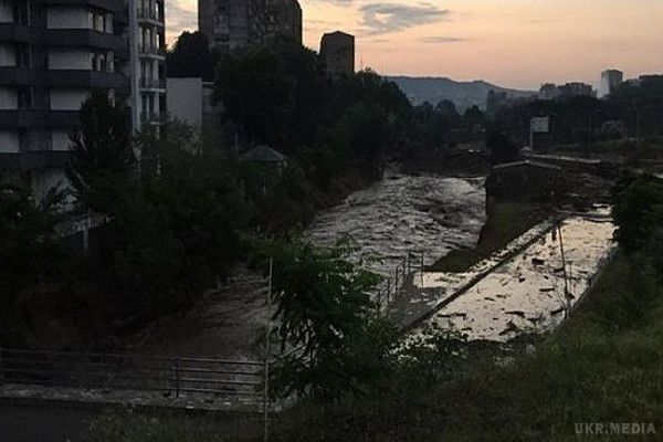 У Тбілісі розстрілюють хижаків що втекли(фото). Проливні дощі, що пройшли 14 червня, в Грузії, обернулася страшною трагедією як для двоногих, так і для чотирилапих мешканців Тбілісі.