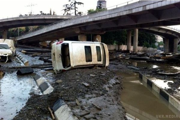 У Тбілісі розстрілюють хижаків що втекли(фото). Проливні дощі, що пройшли 14 червня, в Грузії, обернулася страшною трагедією як для двоногих, так і для чотирилапих мешканців Тбілісі.