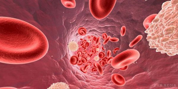 Як підвищити кількість лейкоцитів у крові. Як збільшити кількість лейкоцитів у крові?