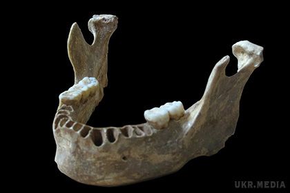 Вчені дізналися про недавнє схрещування людей з неандертальцями в Європі. ДНК з знайденої в Румунії щелепної кістки представила перший доказ того, що приблизно 40 тисяч років тому сучасні люди схрещувалися з неандертальцями на території Європи. 
