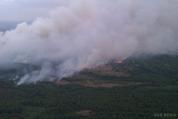 Знову масштабна пожежа у Чорнобильській зоні (фото, відео). У зоні відчуження і обов'язкового відселення у понеділок загорілася суха трава та очерет.