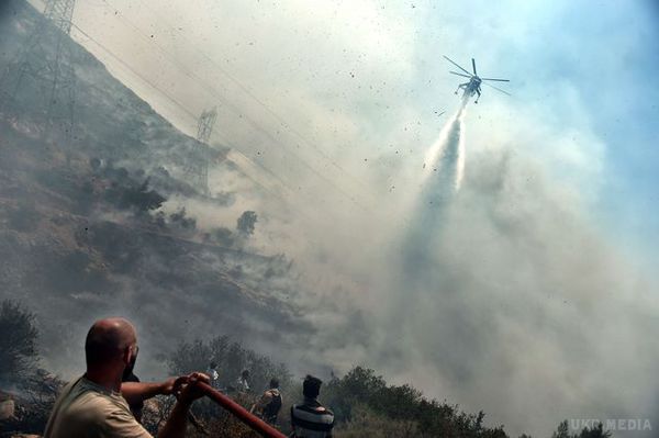 Греція у вогні: пожежні не справляються, а влада просить про допомогу (фото). У країні - надзвичайна подія