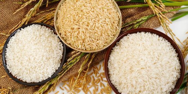 Як позбутися від солей в організмі за допомогою рису. Очистити організм від солей можна за допомогою рису, який добре виводить солі із суглобів і сечостатевої системи.