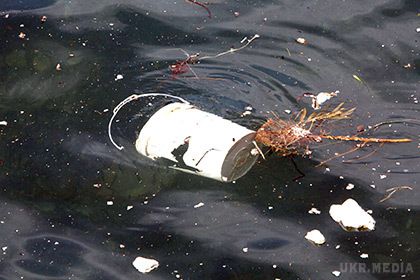 Шлунки морських птахів на 90 відсотків заповнені пластиком. Екологи з Австралії і Великобританії повідомили про глобальне забруднення вод Світового океану відходами з пластику.