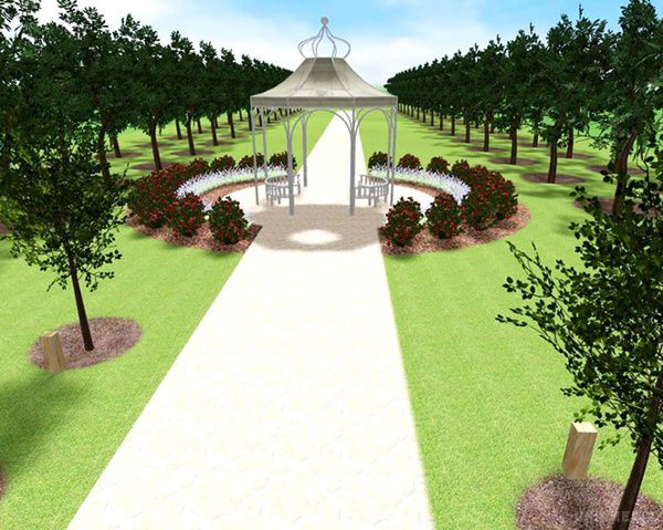  Алея молодят з величезною аркою у вигляді серця з'явиться у Києві. А всі закохані зможуть на пам'ять посадити в саду навколо алеї дерево.