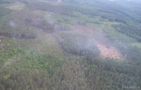 Це умисний масштабний підпал під Києвом-Директор департаменту благоустрою КМДА . Директор департаменту благоустрою КМДА опублікував подробиці щодо пожежі під Києвом, з боку броварської траси, на території Дарницького лісо-паркового господарства.