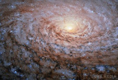 Телескоп Hubble зробив фото космічного "соняшника". Телескоп Hubble зробив фото галактики Мессьє 63, яка також називається "Галактика Соняшник", оскільки обриси її рукавів нагадують цю квітку