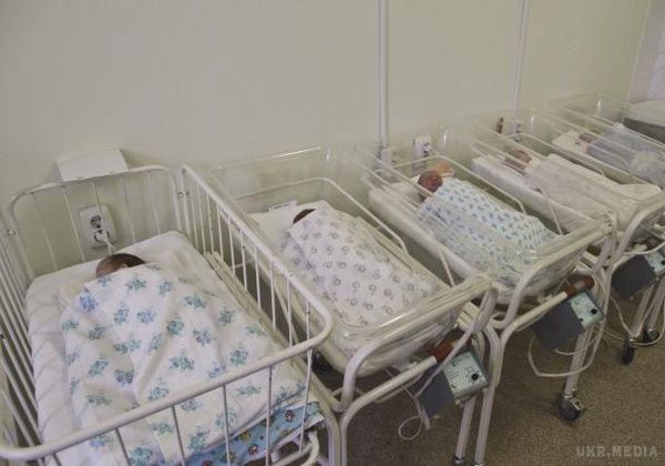 Чиновники заробили більше мільйона на липових немовлятах. Шахраї оформляли фальшиві довідки про народження неіснуючих дітей і отримували грошові допомоги.