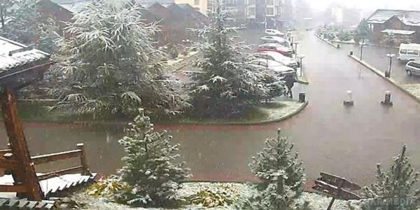 Перший сніг випав у Карпатах. На веб-камери популярного гірськолижного курорту "Буковель" у режимі реального часу можна побачити, як у Карпатах повним ходом йде сніг.
