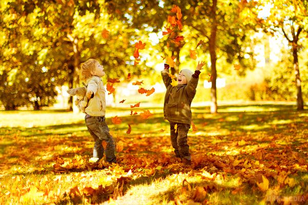 Золотий час року: ТОП-10 дитячих прислів'їв про осінь. Як в одному маленькому реченні може міститися величезне джерело знань?