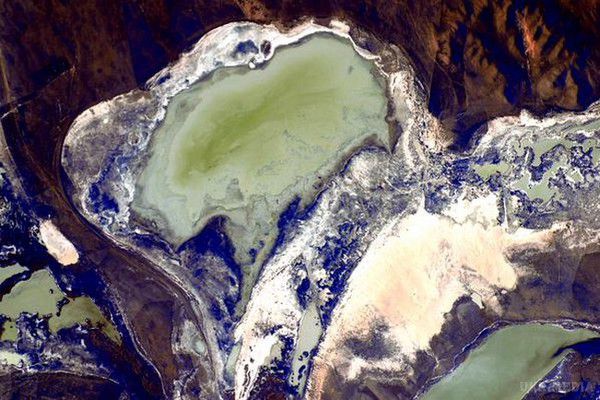 Незвичайна Земля з космосу: астронавт NASA опублікував яскраві фото. Американський астронавт Національного управління з повітроплавання і дослідженню космічного простору США Скотт Келлі виклав у себе в Twitter і на офіційному акаунті відомства Flickr кілька десятків незвичайних фотографій територій Австралії, пустелі Сахара та інших регіонів планети.