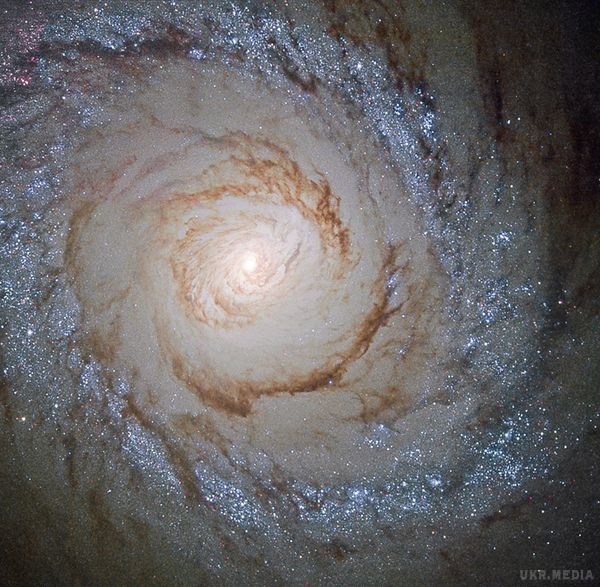 NASA показало фото: галактика Messier 94 зачаровує. Учені з NASA оприлюднили унікальне зображення галактики Messier 94 під час утворення в ній нових зірок.