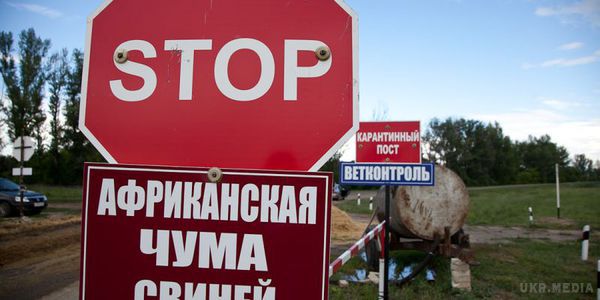 В Одеській області у зв'язку зі спалахом АЧС створений спеціальний штаб. В Одеській області у зв'язку зі спалахом африканської чуми свиней створено штаб з ліквідації надзвичайної ситуації.