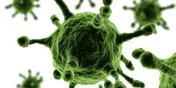 Учені: вірус-мутант здатний безпосередньо заражати людину. Біологи схрестили поверхневий білок SHC014 з вірусом SARS - в результаті з'явився гібрид, здатний розвиватися в клітинах людини.