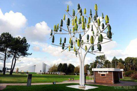 Вчені планують добувати енергію з дерев. Вітряні дерева – хороша альтернатива вітрових турбін.