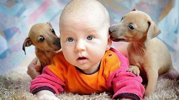 Вчені знайшли зв'язок дітей з собакою. Психологи встановили зв'язок між психічним здоров'ям дітей і наявністю собаки в будинку.