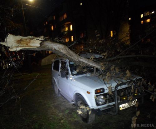 Негода. На Львівщині ураган ламає дерева і зриває дахи з будинків (фото). Також негода вирує у Волинській та Рівненській областях.