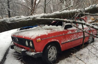 Негода в Харкові йде на рекорд: впало 528 дерев і випала півмісячна норма снігу (фото). Через снігопад в Харкові сьогодні, за інформацією на 11:00, біля будинків впало 528 дерев і 636 великих гілок. 