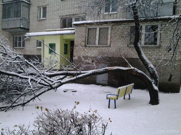 Негода в Харкові йде на рекорд: впало 528 дерев і випала півмісячна норма снігу (фото). Через снігопад в Харкові сьогодні, за інформацією на 11:00, біля будинків впало 528 дерев і 636 великих гілок. 