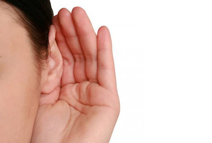 Стали відомі старовинні рецепти для поліпшення слуху. Для поліпшення слуху існують прості рецепти, які прийшли до нас із старовини.