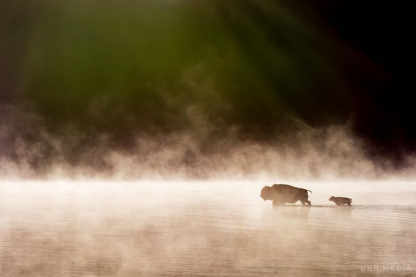 15 фотографій, від яких з новою силою закохуєшся в нашу планету. Дуже часто в міській суєті ми забуваємо про пишність нашої природи. Адже на Землі стільки чудових місць, які варто побачити хоч одним оком.