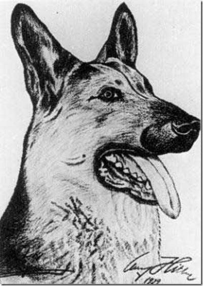 Ці картини створив той, кого проклинали мільйони. У 1907 році Адольф Гітлер приїхав до Відня, плануючи вступити до академії мистецтв