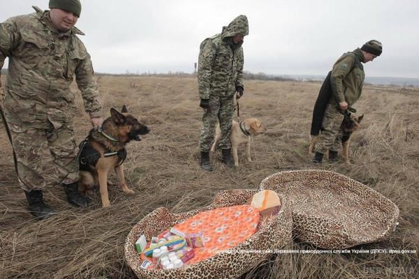 Карта АТО станом на 23 грудня. Ситуація на сході країни (карта АТО) станом на 12:00 23 грудня 2015 року за даними РНБО України.