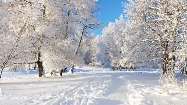  Прогноз погоди в Україні на сьогодні 1 січня 2016. Погода в Україні на 1 січня: у всіх регіонах країни - сніг і мороз