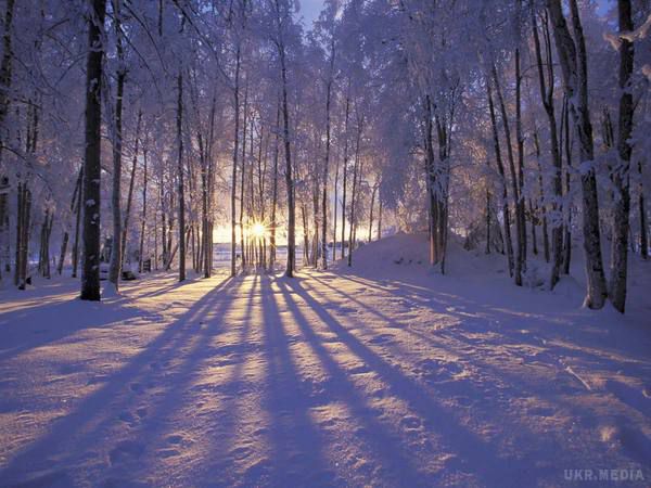 Синоптики розповіли, коли в Україні потеплішає. У найближчу добу В Києві – без опадів, на дорогах місцями ожеледиця, температура повітря вночі 18-20° морозу.