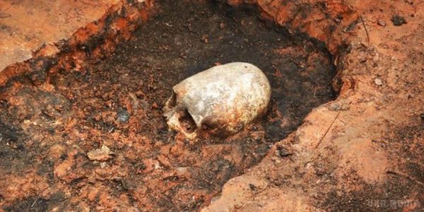 Археологи виявили скелет пірата на дитячому майданчику. Вчені з'ясували, що вік унікальної знахідки близько 500 років.