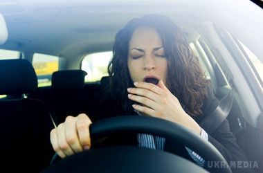 Як не заснути за кермом: ТОП-5 порад. Підбадьоритися водієві допоможе не тільки чашка кави, але й особливі запахи, а також їжа.