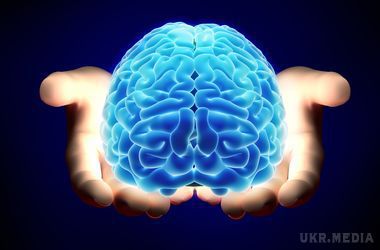 Вчені назвали реальний обсяг людської пам'яті. Мозок людини здатний вмістити приблизно в десять разів більше інформації, ніж вважалося раніше.