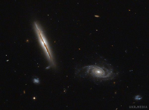 Телескоп Hubble сфотографував галактику, яка "лежить на боці" (фото). Учені з NASA виявили галактику у Всесвіті, подібну до якої ще ні разу не вдавалося зустріти в космосі. Унікальність об'єкта LO95 0313-192 полягає в тому, що він повернутий боком до Землі, що дозволяє дослідникам краще вивчити чорну діру, розташовану в центрі виявленої галактики.
