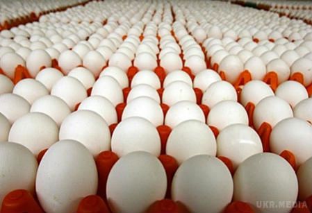 Україна відповіла на скандал із сальмонелою в яйцях для Ізраїлю. За зверненням Служби ветеринарної медицини і розвитку Ізраїлю Держветфітослужбою проведено дослідження наявності бактерії сальмонели в українському харчовому яйці, яке експортуються до цієї країни.