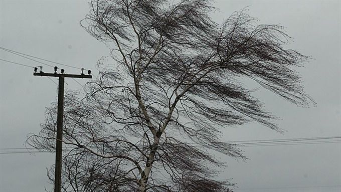 В Україні - штормове попередження через сильний вітер. На сьогодні, 31 січня, в Україні оголосили штормове попередження через сильні пориви вітру