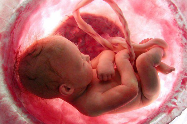 У США скоро стане можливо народити дитину від трьох батьків. Уряд США планує дозволити проведення генетичних експериментів, що досліджують можливість зачаття дітей від трьох різних батьків, як повідомляється у виданні Nature News.