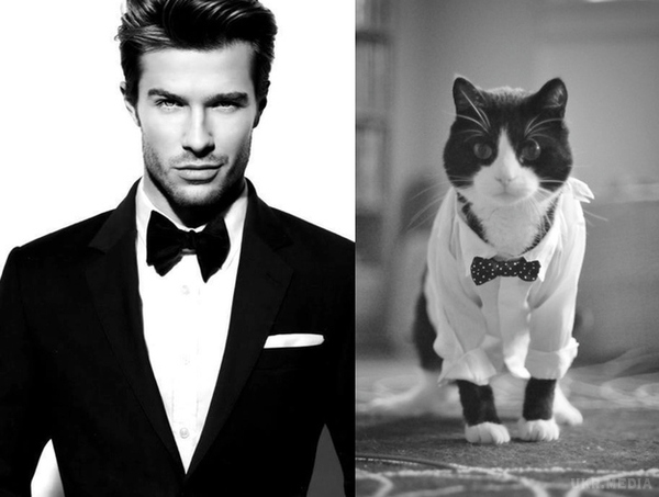 «Чоловіки і коти - як дві краплі води». Фото знаменитостей (фото). Представляємо вашій увазі рубрику фото знаменитостей, з якої ви дізнаєтеся про порівняння красивих і популярних чоловіків і котів.