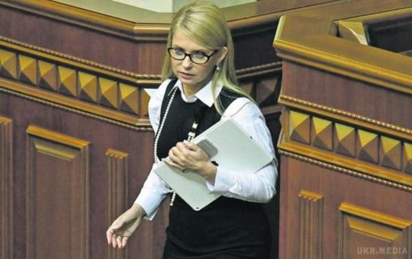 Тимошенко і Полторак показали свої зарплати. Лідер "Батьківщини" за рік заробила всього лише 75 тис. грн, а міністр оборони отримує 20 тис. грн на місяць.