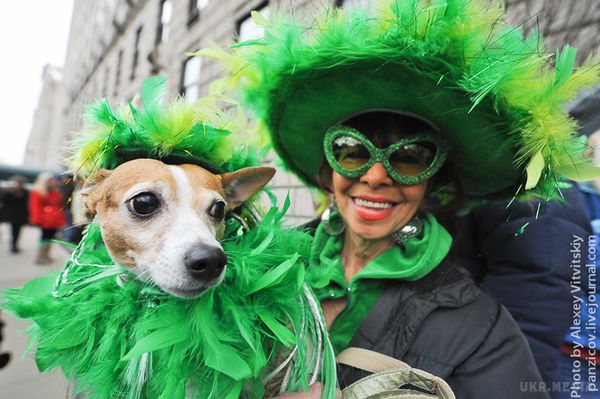 Парад на День Святого Патрика в Нью-Йорку. Найбільший парад в День Святого Патрика можна побачити в Нью-йорку. На вулицях і в пабах міста бушує ціле море зелених людей.