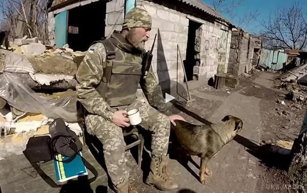 Ніка і Валідол: Як собаки рятують українських бійців на передовій. Собака Ніка в зоні АТО знає, коли прилетить міна, і кличе солдатів в окопи